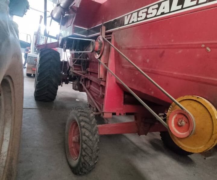 Vassalli 910