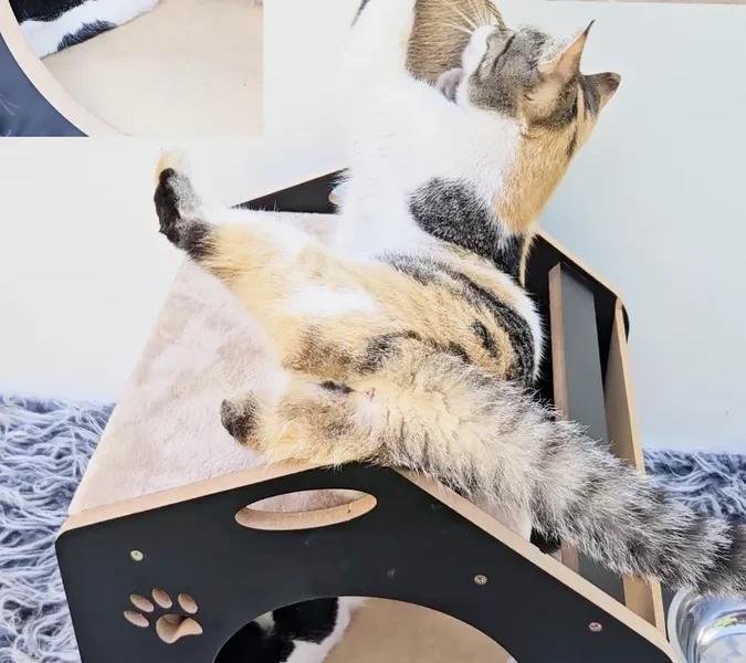 Casa Rascador Gato Gimnasio Juego Con Comedero