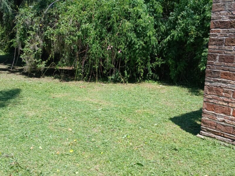 Terreno Dueño Vende